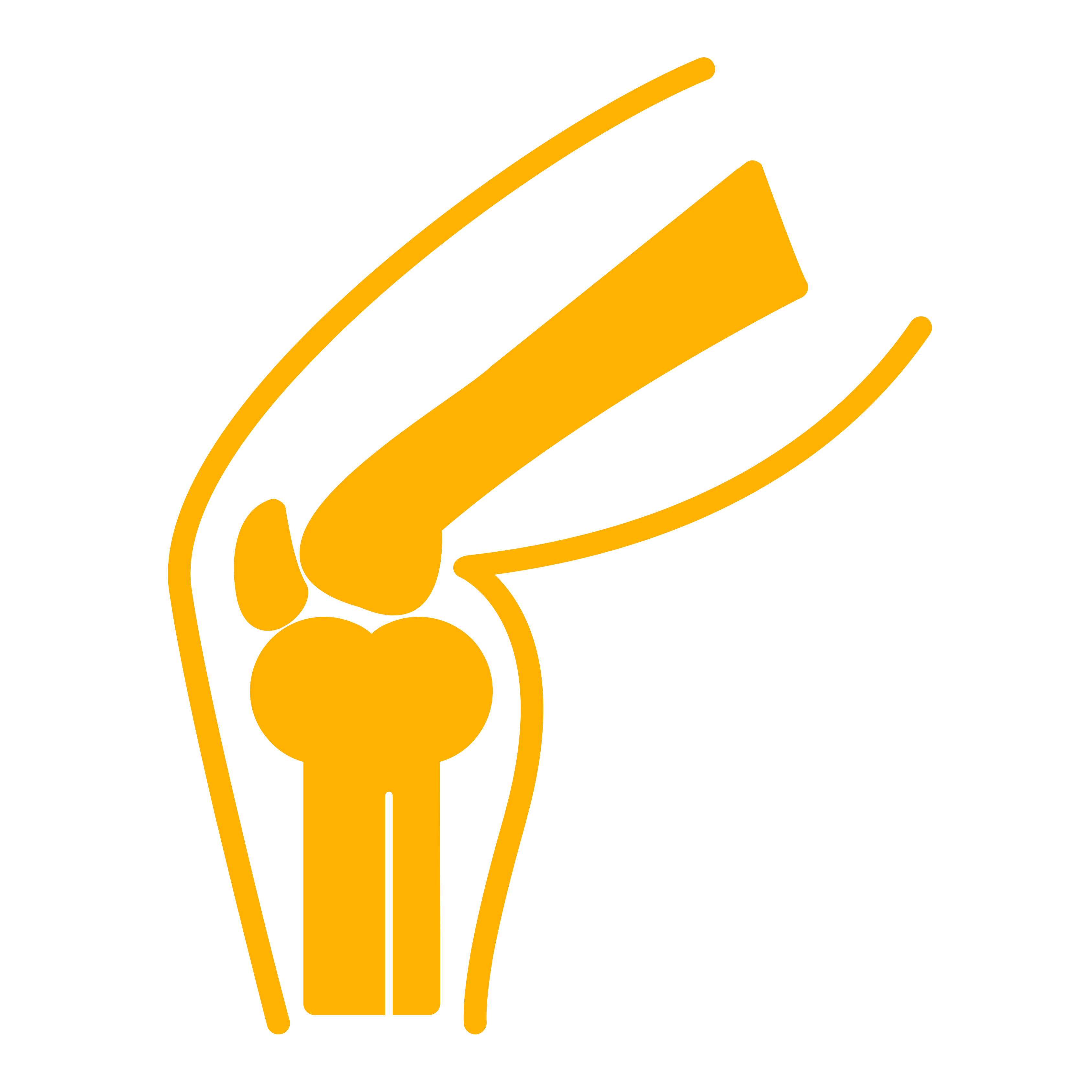 Orthopedics